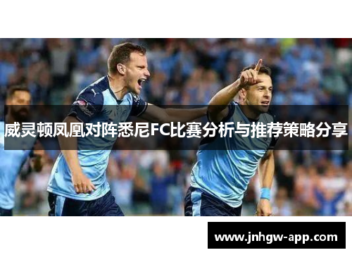 威灵顿凤凰对阵悉尼FC比赛分析与推荐策略分享